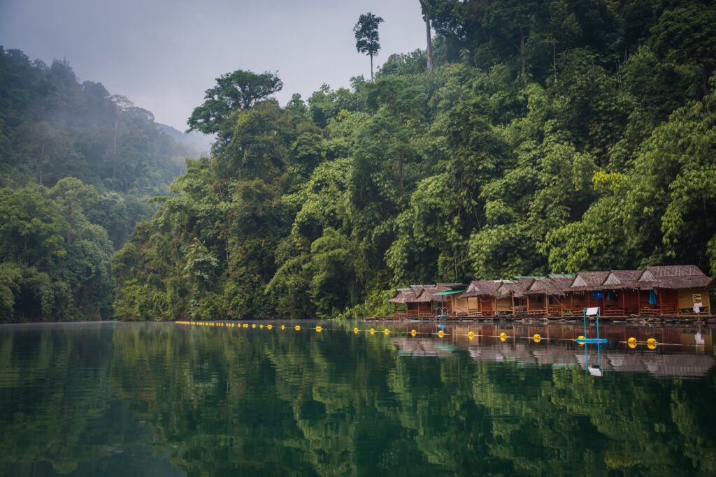 marcin kalinski 259397 unsplash Braulio Khao Sok National Park, Thailand