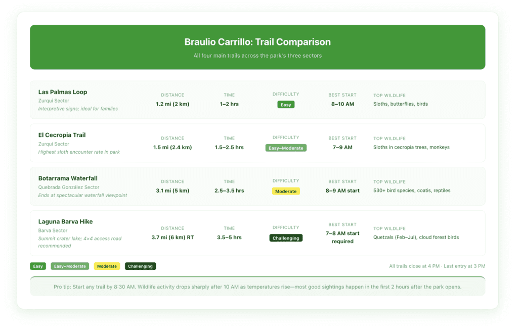 Trail comparison infographic for Braulio Carrillo's main hikes, showing distance, elevation gain, difficulty, wildlife highlights, and best time of day for each trail across all three sectors