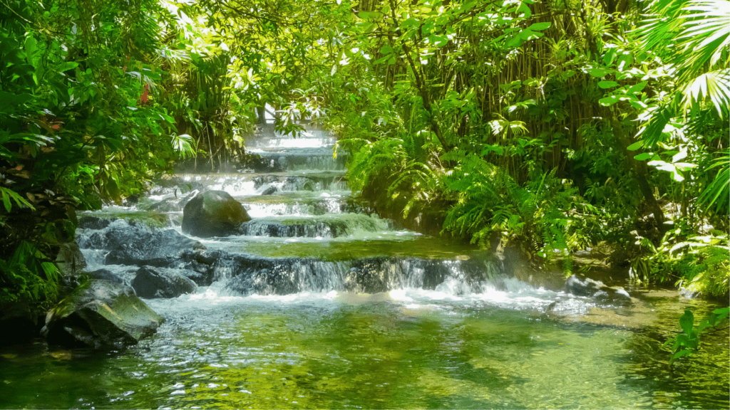 Tabacon Hot Springs River at Arenal Volcano, Alajuela, San Carlos, Costa Rica