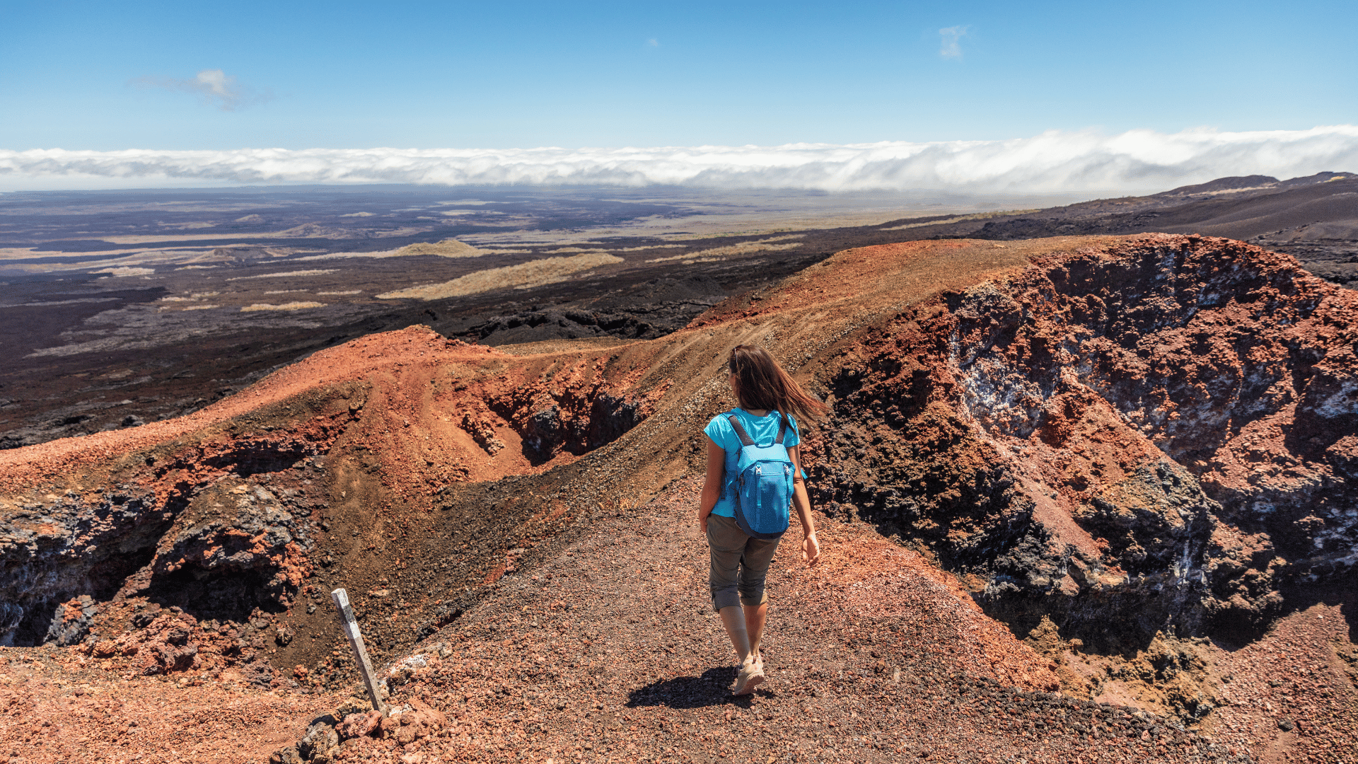Tourist Walking a Trail
