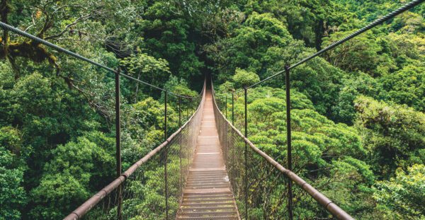 Monteverde-Cloud-Forest-Reserve-Vamos-rent-a-car