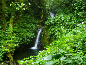 Monteverde advantures -Vamos