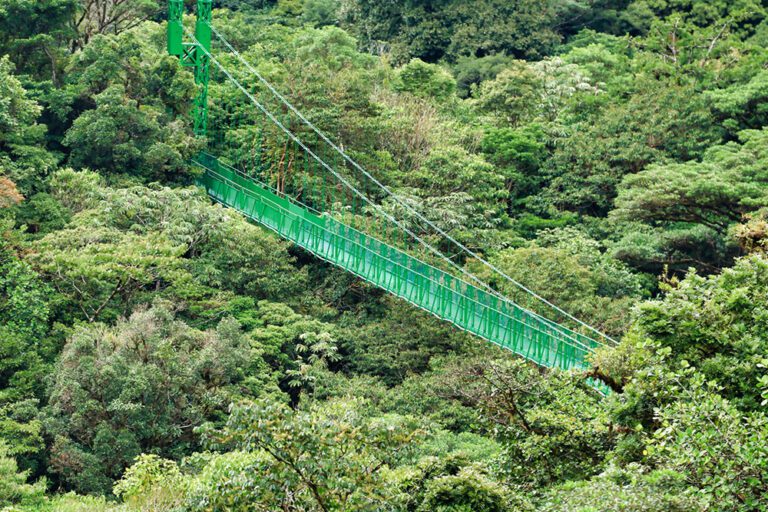 hanging-bridge-in-Monteserde-Selvatura-Park