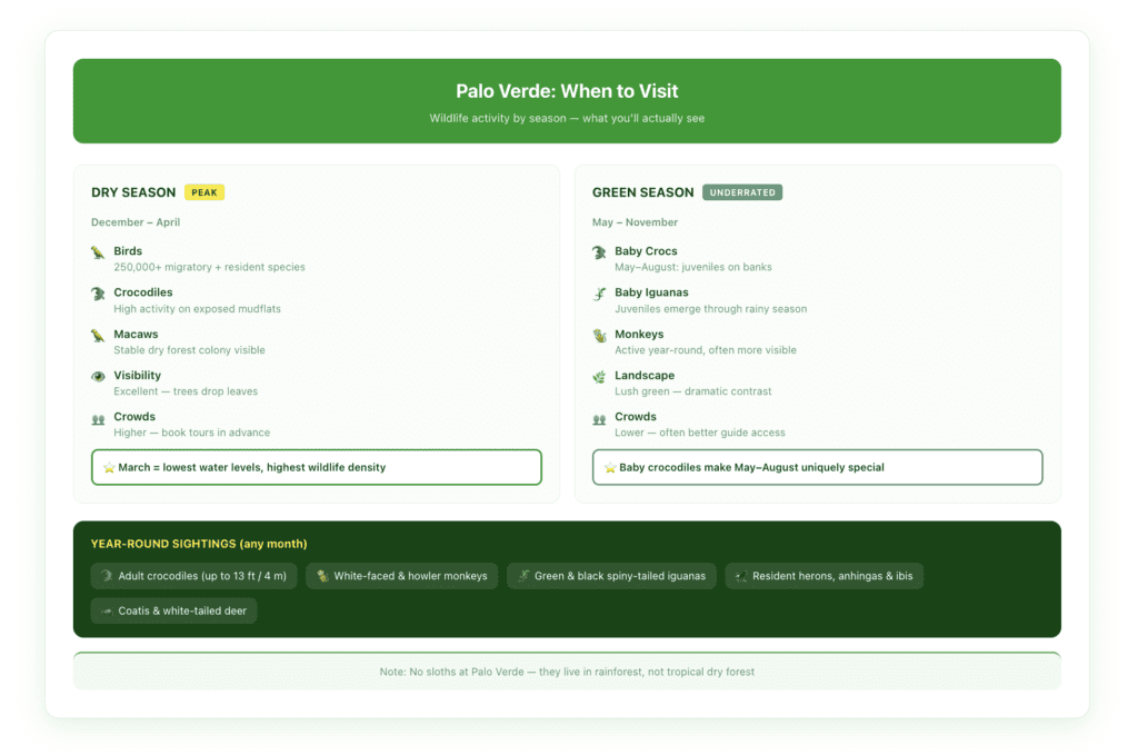Seasonal comparison table showing Palo Verde wildlife activity by month—birds, crocodiles, baby animals, and crowd levels across dry season (December–April) and green season (May–November).