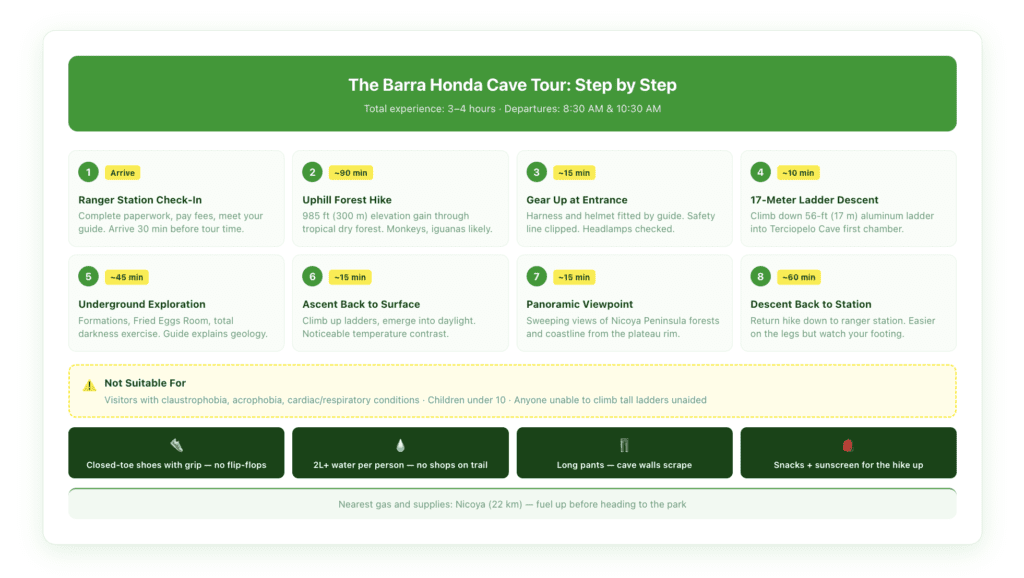 Step-by-step timeline infographic showing the full Barra Honda cave tour experience: arrival, ranger station check-in, 1.5-hour forest hike, harness/helmet fitting, 17-meter ladder descent, Terciopelo cave chambers, viewpoint, and return hike with estimated duration for each stage.
