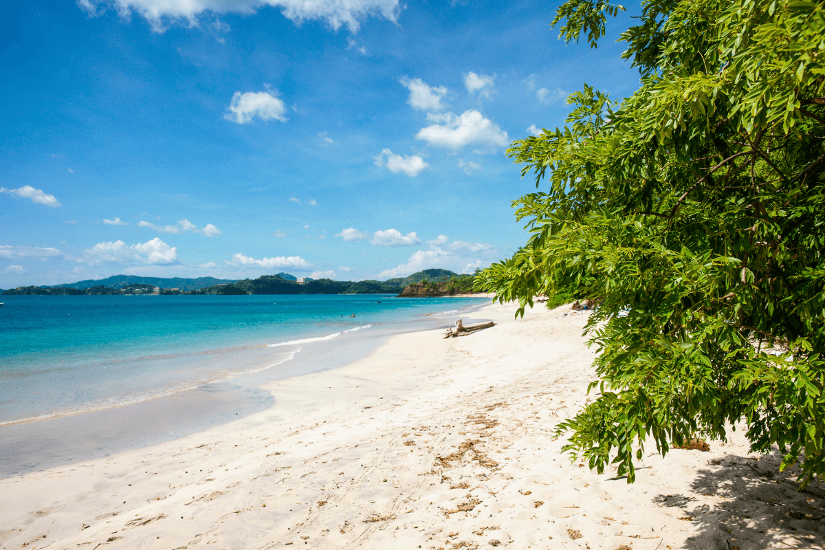 62 Caribbean 62 Caribbean
