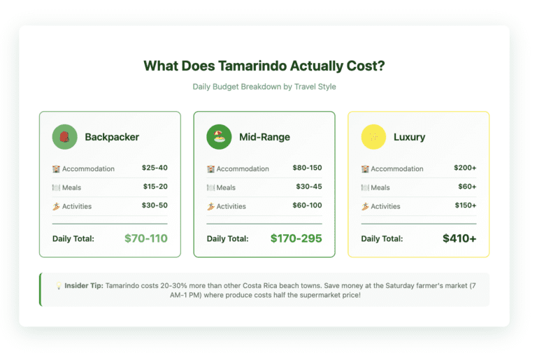 Tamarindo daily budget infographic showing three travel styles: Backpacker ($70-110/day), Mid-Range ($170-295/day), and Luxury ($410+/day) with breakdown for accommodation, meals, and activities