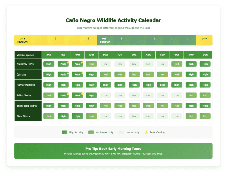 Monthly wildlife activity calendar for Caño Negro showing peak viewing times for migratory birds, caimans, howler monkeys, jabiru storks, sloths, and river otters. Chart indicates February-March as optimal months with highest species activity during dry season.