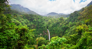 La Fortuna Waterfall and Costa Rican Jungle