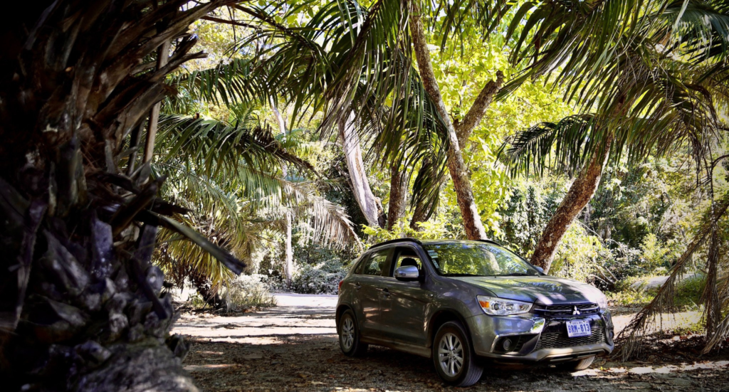 Navigating Your Way to Monteverde, Costa Rica