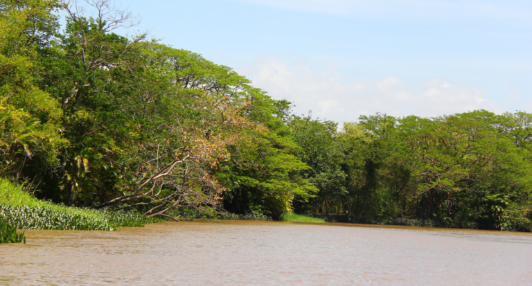 Rincon de la Vieja National Park Dry Season Rincon de la Vieja National Park Dry Season