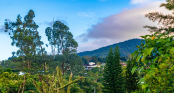 Stunning mountain landscape city panorama forest trees nature Costa Rica