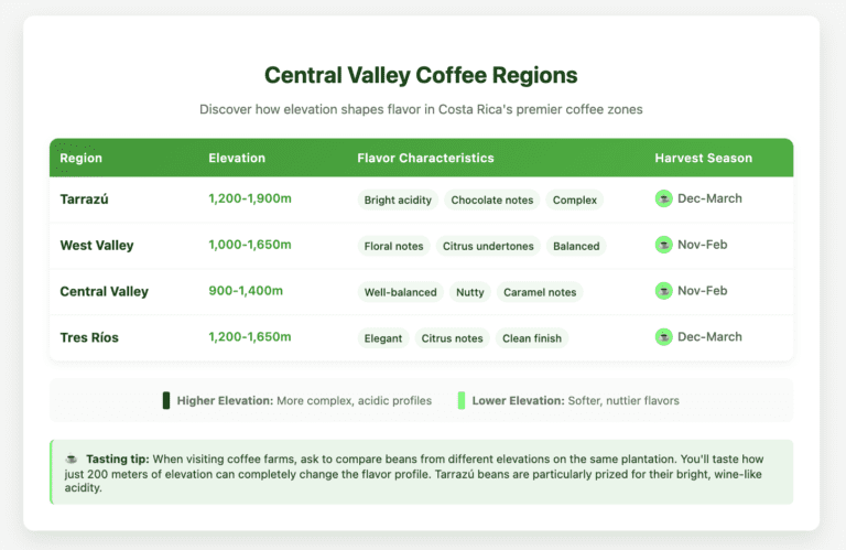 Central Valley Coffee Regions Central Valley Coffee regions comparison table showing four Central Valley coffee zones: Tarrazú (1,200-1,900m) with bright acidity and chocolate notes harvested Dec-March; West Valley (1,000-1,650m) with floral and citrus notes harvested Nov-Feb; Central Valley (900-1,400m) with nutty and caramel flavors harvested Nov-Feb; and Tres Ríos (1,200-1,650m) with elegant citrus notes harvested Dec-March. Green-themed design includes legend explaining how elevation affects flavor complexity and a tasting tip about comparing beans from different elevations.