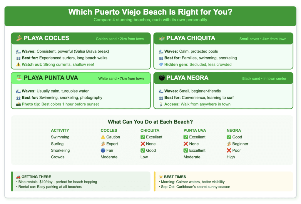 Puerto Viejo Area Beaches Comparison Guide Caribbean Beach comparison guide for Puerto Viejo area showing four beaches: Playa Cocles (golden sand, 2km from town, powerful waves for expert surfers), Playa Chiquita (small coves, 4km from town, calm protected pools perfect for families), Playa Punta Uva (white sand, 7km from town, turquoise water best for swimming and photography), and Playa Negra (black sand in town center, good for beginners). Includes activity comparison table rating each beach for swimming, surfing, snorkeling, and crowd levels. Bottom sections provide transportation tips (bike rentals $10/day, easy parking) and best times to visit (mornings for calm water, Sep-Oct for sunny weather). Uses green color scheme with beach emoji indicators.