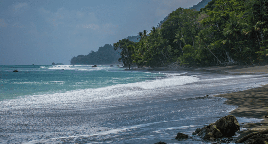 Beach trail path to Sirena Station on Corcovado national park