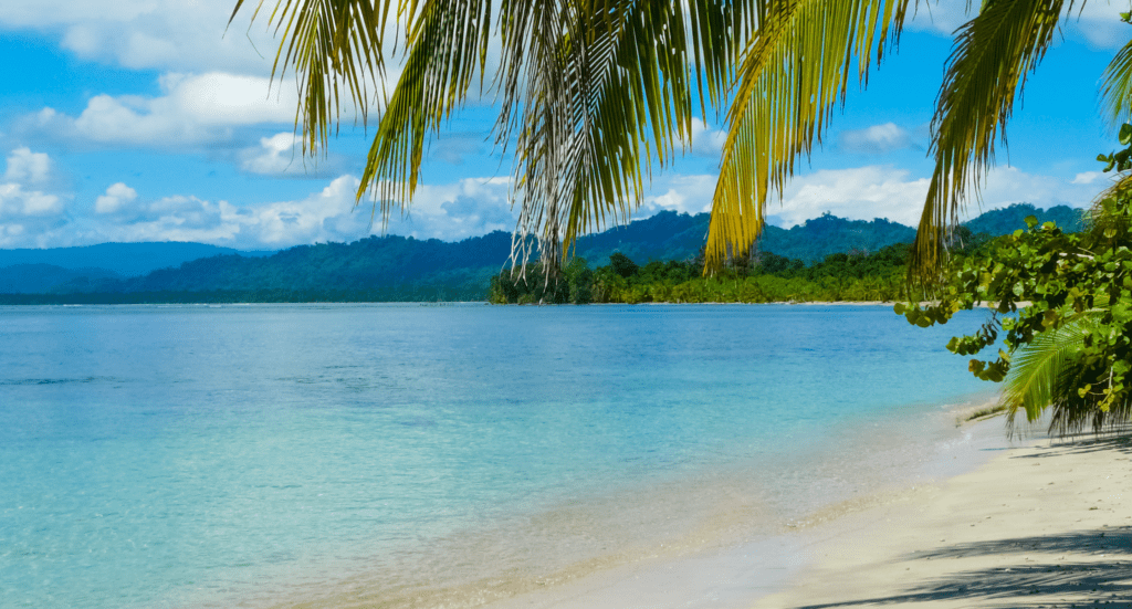 Cahuita National Park Caribbean Coast white sand Cahuita Cahuita National Park, Caribbean Coast, white sand