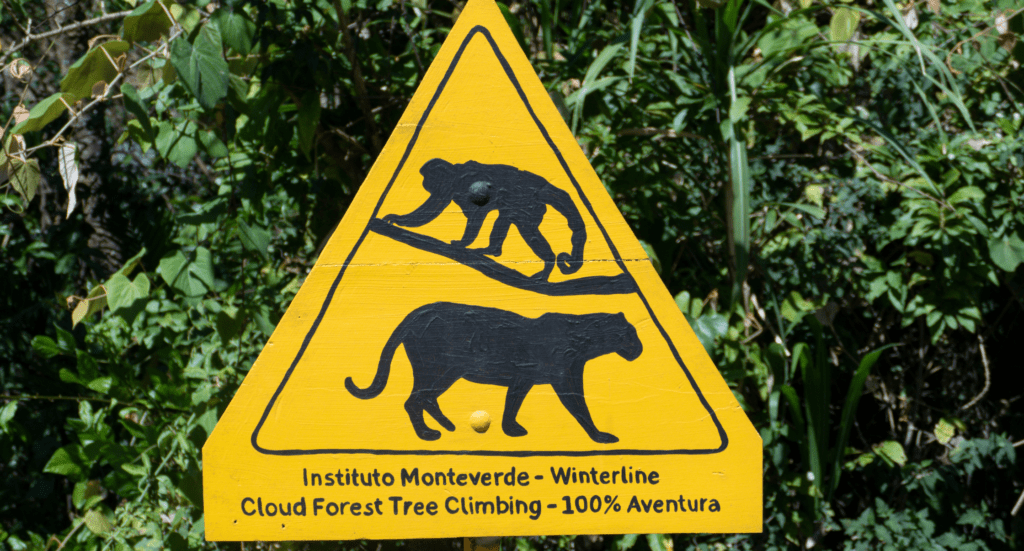 Costa Rica Childrens Eternal Rain Forest in Costa Rica warning sign for monkeys and Pumas Children's Eternal Rain Forest Costa Rica - Children's Eternal Rain Forest in Costa Rica - warning sign for monkeys and Pumas