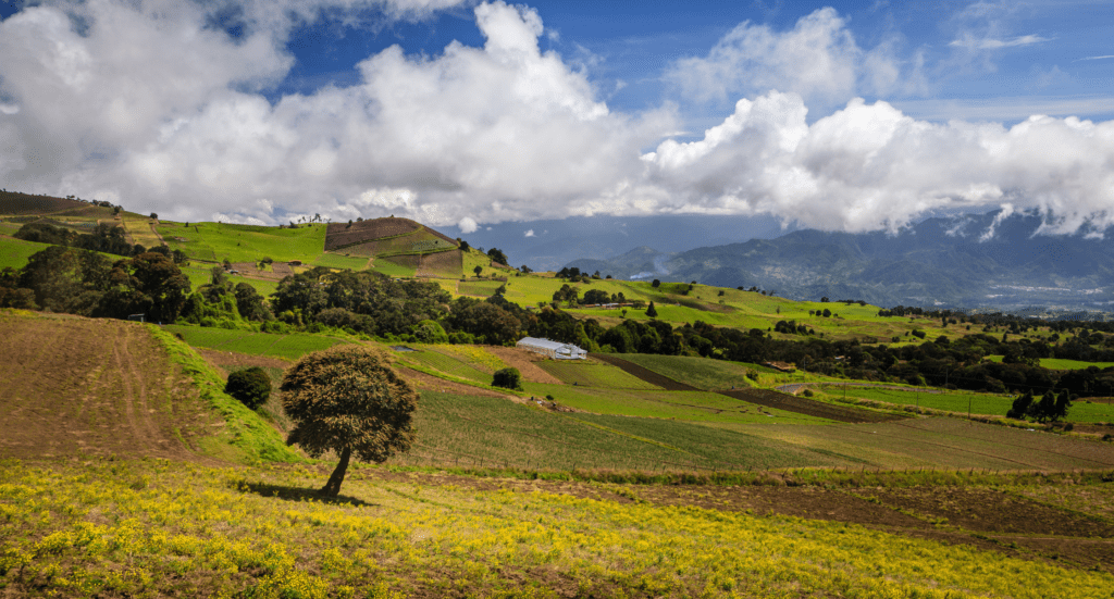 Fields in Cartago Province Costa Rica Fields in Cartago Province, Costa Rica