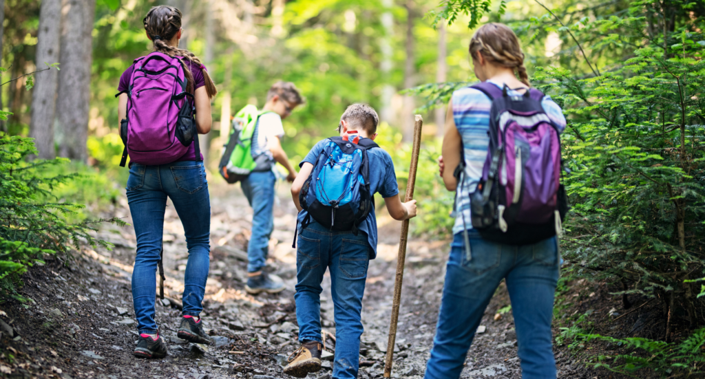 Hiking family hiking in forest Hiking family hiking in forest