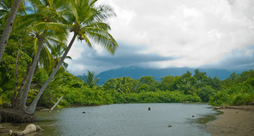 Shallow River Marino Ballena National Park Marino Ballena Shallow River Marino Ballena National Park Marino Ballena
