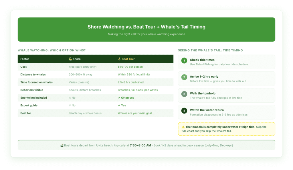 Side-by-side comparison of shore-based whale watching versus boat tour at Marino Ballena, showing cost, viewing distance, behaviors visible, and best use case, plus a 4-step guide to timing your visit around low tide to see the whale's tail tombolo formation