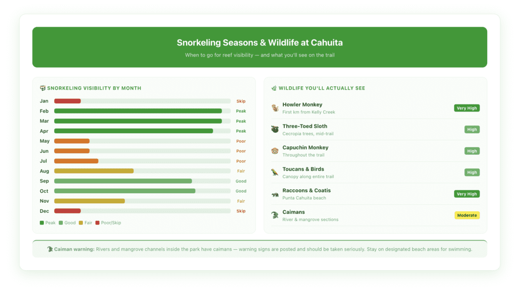 Monthly snorkeling visibility chart for Cahuita National Park showing water clarity and sea conditions across all 12 months with recommended and avoid periods, plus a six-species wildlife spotting guide for howler monkeys, three-toed sloths, white-faced capuchin monkeys, caimans, toucans, and raccoons with trail location tips.
