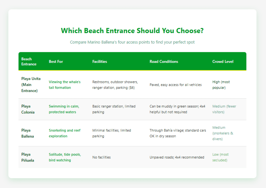 Which Beach Entrance Should You Choose Marino Ballena Comparison table showing four Marino Ballena National Park beach entrances: Playa Uvita (main entrance, best for whale's tail viewing, high crowds, full facilities), Playa Colonia (best for swimming, medium crowds, basic facilities), Playa Ballena (best for snorkeling, medium crowds, minimal facilities), and Playa Piñuela (best for solitude and tide pools, low crowds, no facilities). Table includes road conditions and parking information for each entrance.