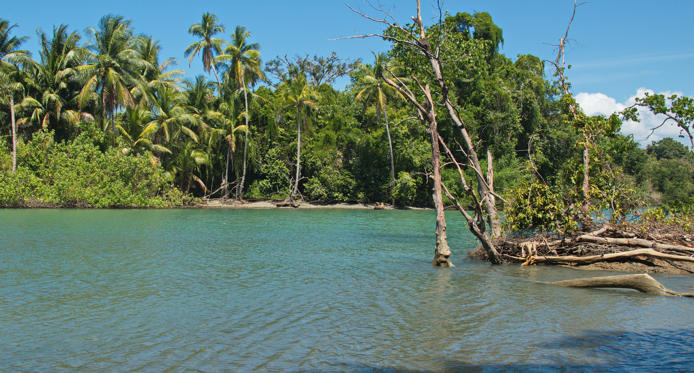 Coast at La Sirena station in Corcovado National Park turrialba volcano