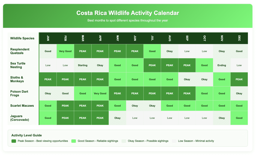 Costa Rica Wildlife Activity Calendar wildlife