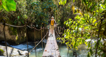 Hike in Costa Rica green tropical jungle