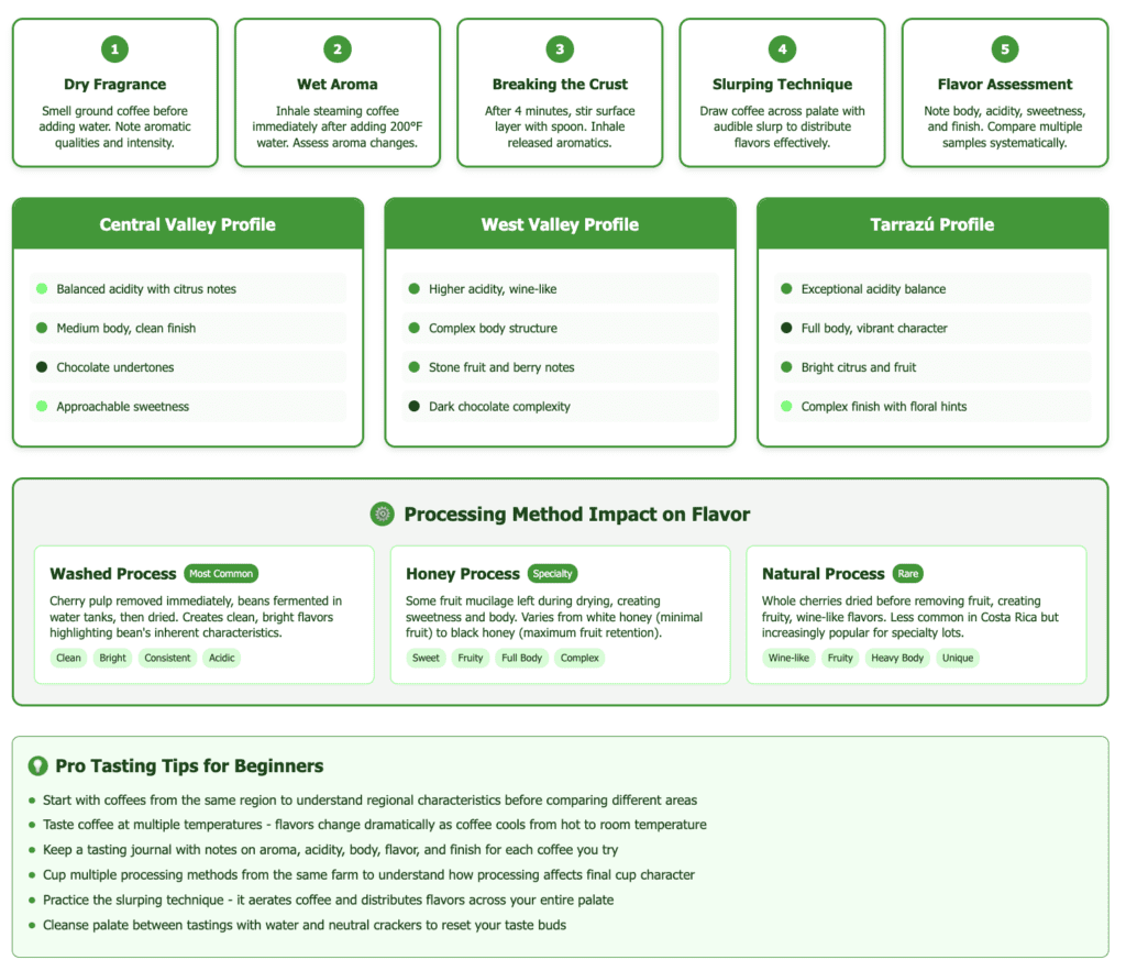 Comprehensive coffee cupping and tasting technique guide showing 5-step professional cupping process, regional flavor profiles for Central Valley, West Valley, and Tarrazú coffee regions with color-coded flavor characteristics, processing method comparisons (washed, honey, natural) with flavor impact descriptions, and professional tasting tips for developing palate skills. Features step-by-step visual instructions and practical advice for coffee tourism experiences.