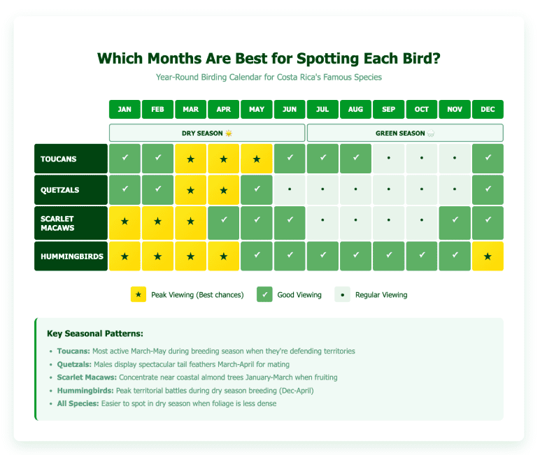 Which months are best for spotting each bird bird