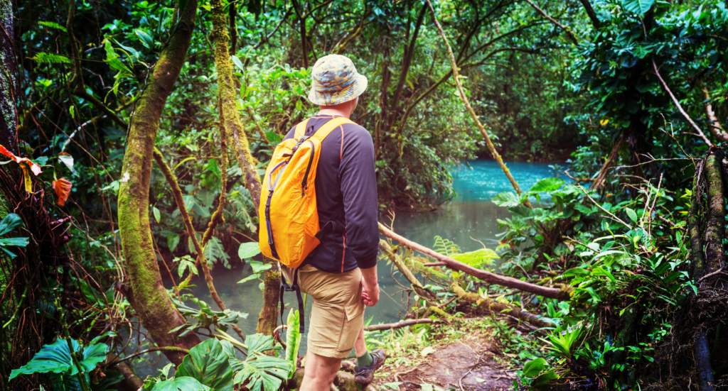 hiking in green tropical jungle, costa rica
