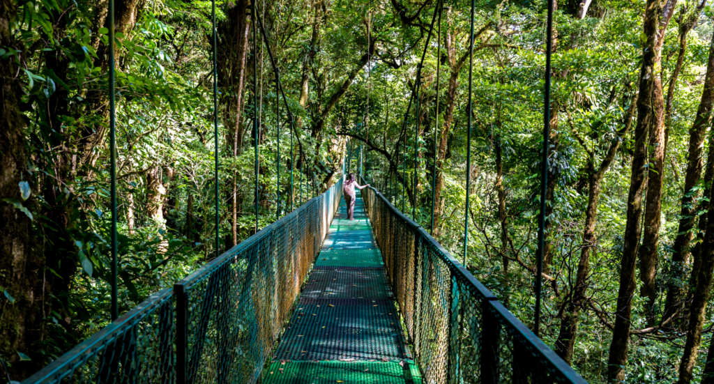Girl walking on hanging bridge in cloudforest - Monteverde