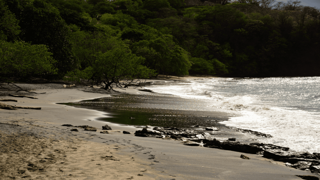 Playa del Coco Beach playas del coco