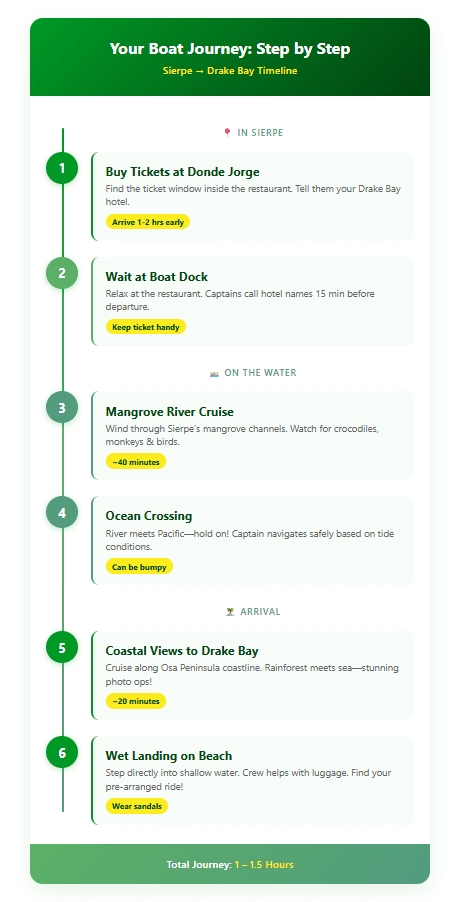 Step-by-step timeline of Sierpe to Drake Bay boat journey showing ticket purchase, mangrove cruise, ocean crossing, and wet landing