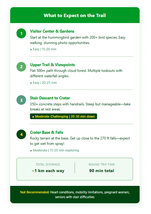 Trail guide for Catarata del Toro waterfall showing four stages: visitor center, upper viewpoints, 350-step descent, and crater base with difficulty ratings