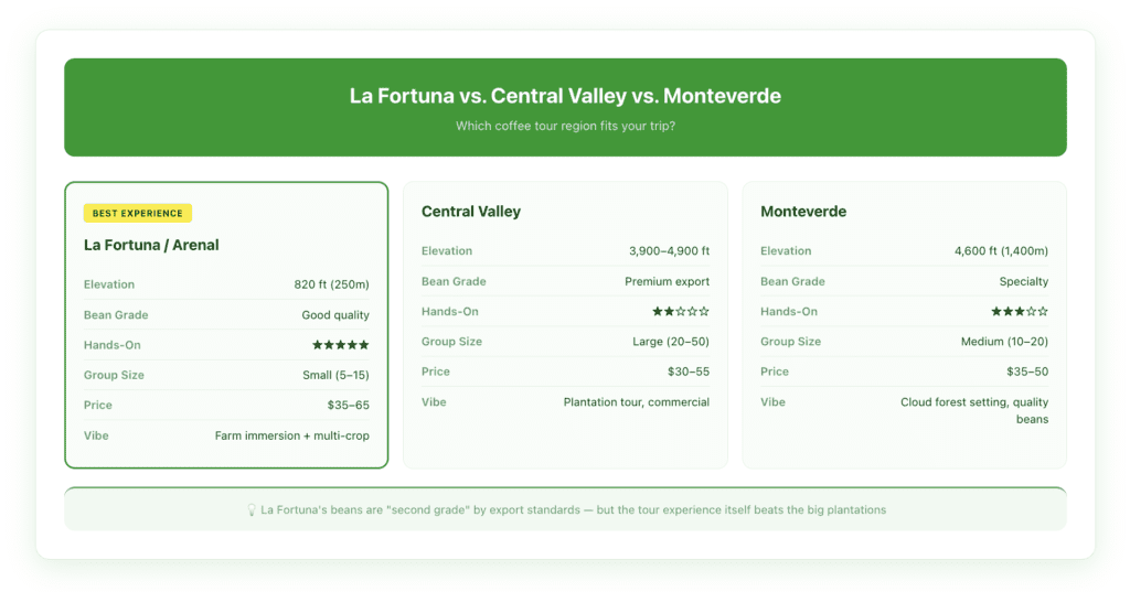 Comparison of Costa Rica coffee tour regions showing La Fortuna at 820 feet with best hands-on experience, Central Valley at 3,900–4,900 feet with premium beans but larger groups, and Monteverde at 4,600 feet with specialty coffee in cloud forest setting.