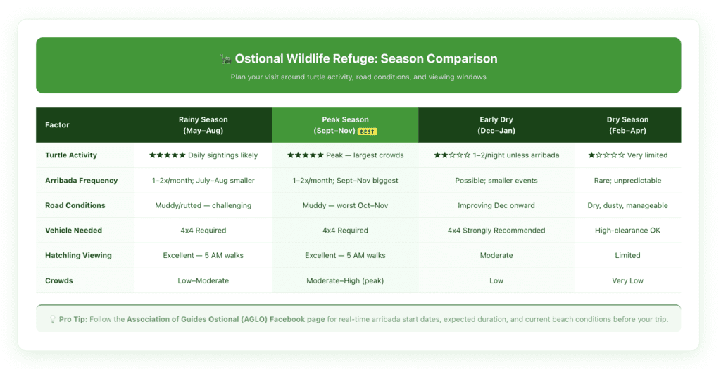 Quick-reference table comparing Ostional visiting seasons—rainy season vs dry season—with columns for turtle activity level, road conditions, vehicle requirement, and probability of seeing an arribada