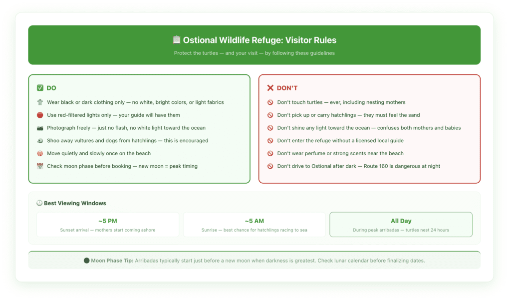 Ostional visitor rules quick-reference card with two columns: Do and Don't, covering clothing requirements, photography rules, behavior around nesting mothers, hatchling interaction guidelines, and moon phase timing tips