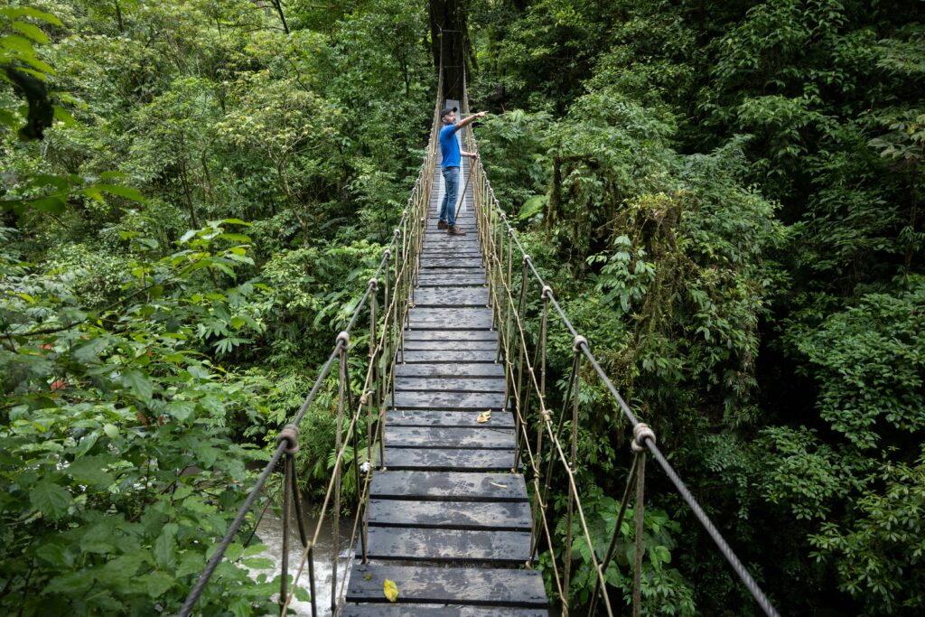 Hiker crossing a rustic hanging bridge surrounded by lush green cloud forest canopy in Costa Rica, similar to the ten hanging bridges along the El Tigre Waterfalls trail