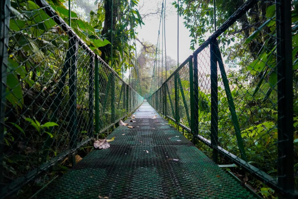 A hanging bridge stretching through dense Costa Rica rainforest canopy, similar to the hanging bridges trail included with both day passes at Rincon Thermals and Adventures in Guanacaste