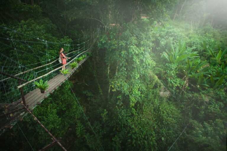 Visitor crossing a suspension bridge high above a tropical rainforest canopy, similar to the hanging bridge experiences included in La Chimba's canopy zipline tour through the Santa Ana hillside