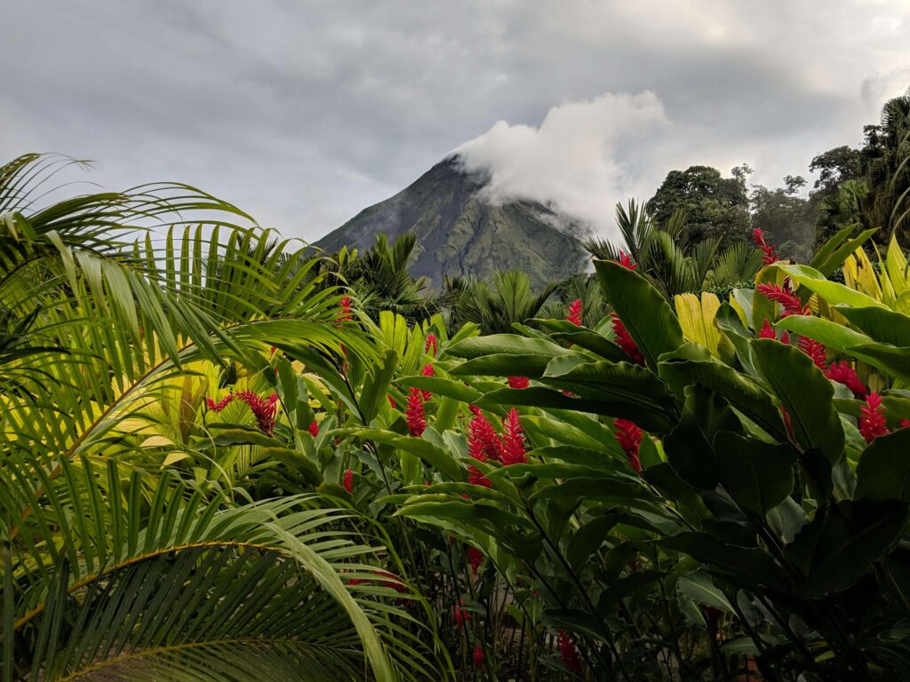 Similar to the lush tropical vegetation and misty mountain scenery visible from Curi Cancha Reserve in Monteverde, Costa Rica