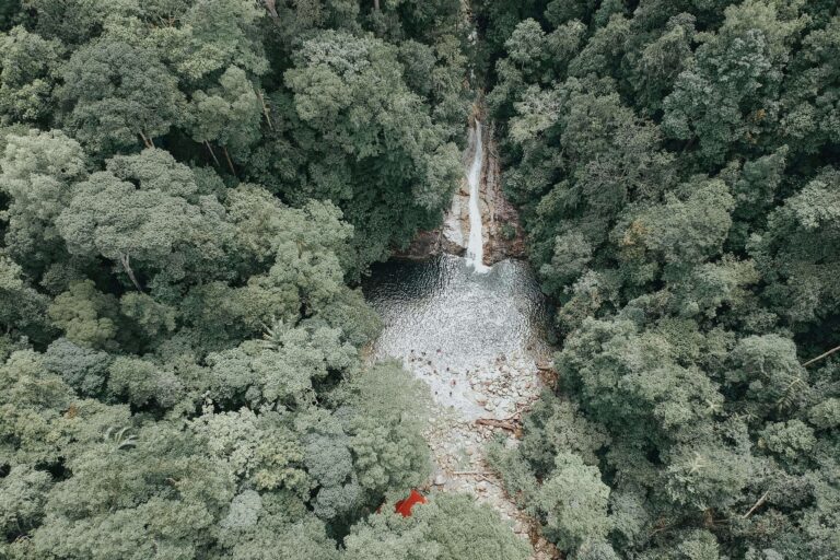 Similar to an aerial view of a rainforest waterfall cascading into a rocky pool surrounded by dense tropical forest in Costa Rica's northern lowlands