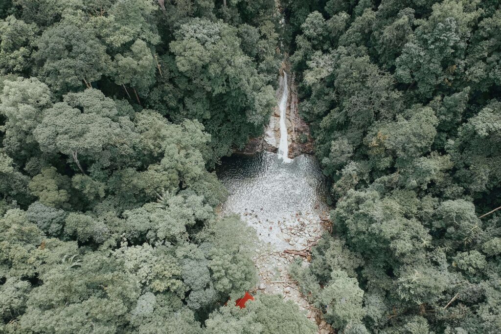 Similar to an aerial view of a rainforest waterfall cascading into a rocky pool surrounded by dense tropical forest in Costa Rica's northern lowlands