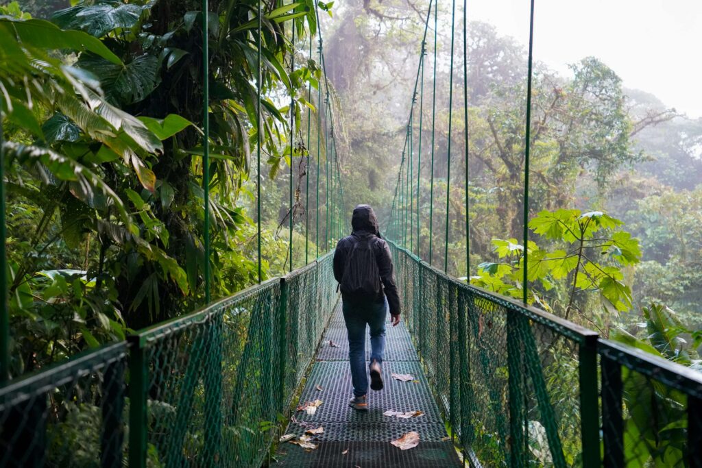 Hiker crossing a hanging bridge through misty cloud forest similar to the trail experience at Santa Elena Cloud Forest Reserve in Monteverde, Costa Rica