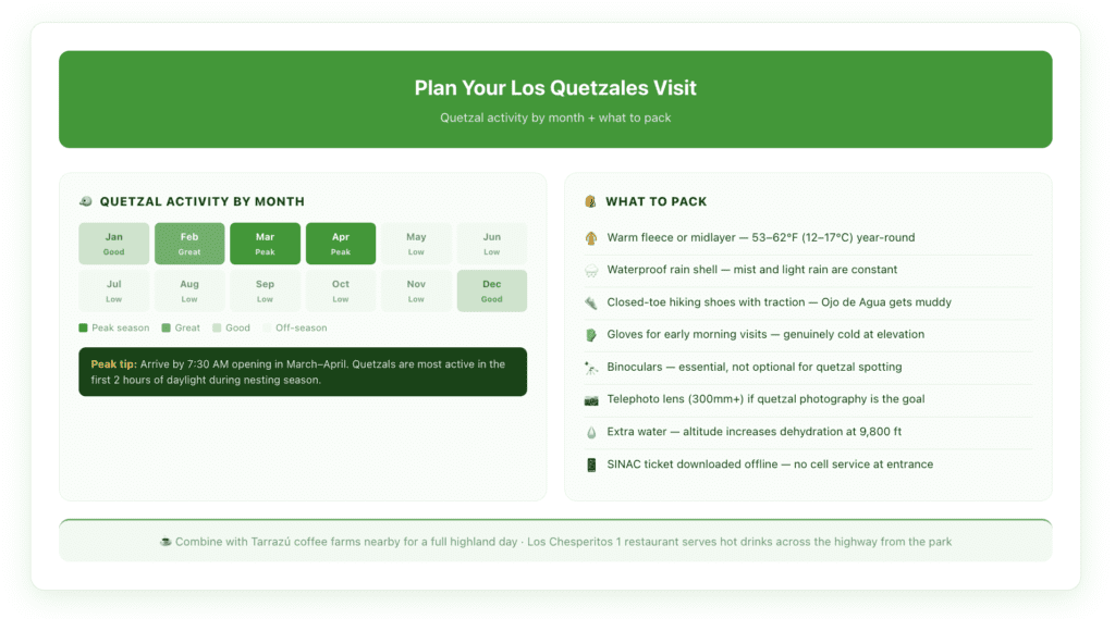 Two-part visual showing a seasonal quetzal activity calendar for Los Quetzales and a packing checklist for visiting the cloud forest, including clothing, gear, and timing tips