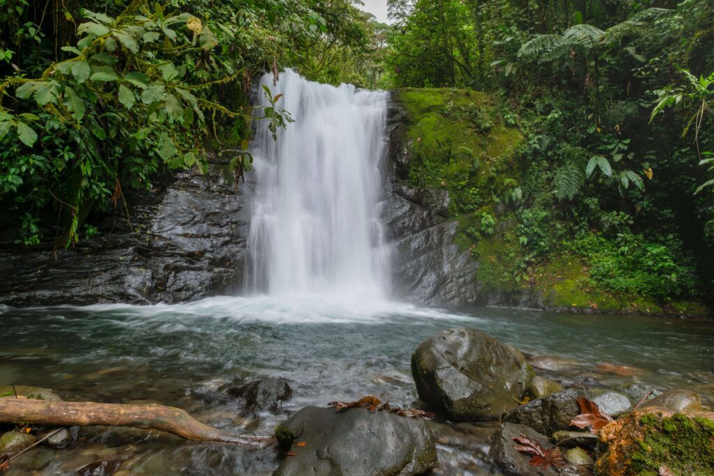 Lush jungle waterfall cascading over moss-covered rocks into a clear pool, similar to Salitral Waterfall in Costa Rica's Rincón de la Vieja region