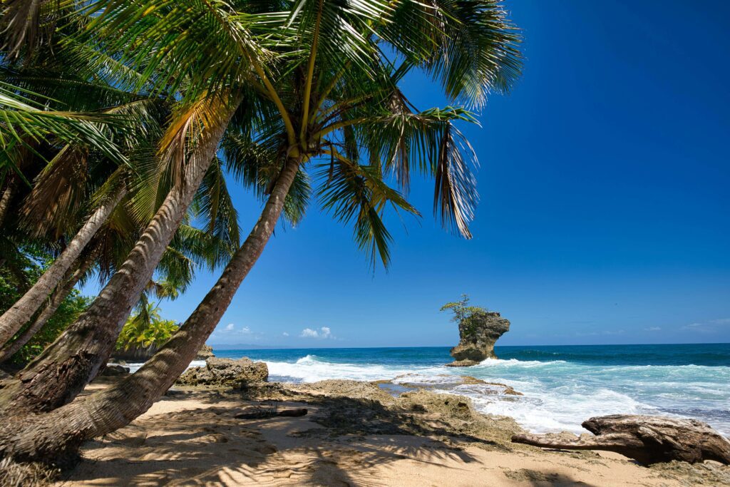 Palm trees leaning over a rocky beach and bright blue ocean near Jaco, Costa Rica.